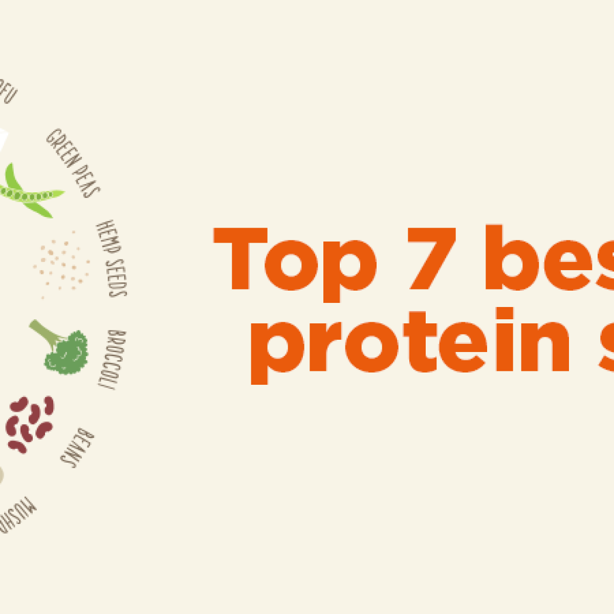 Top 7 Best Vegan Protein Sources I Am Zuri