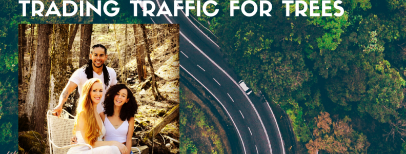 Trading Traffic For Trees